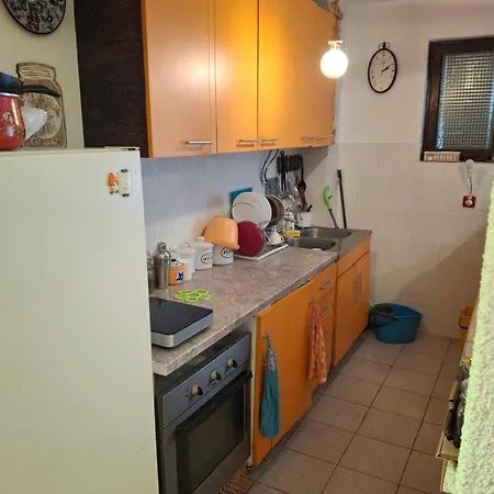 Avalski Put Venkovský dům Ripanj